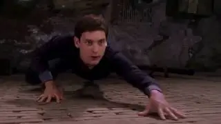 Spider Man(AMV)Hero