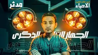 حل اسئلة الدرس الرابع التكاثر في الإنسان من كتاب الامتحان احياء تالتة ثانوى. ٢٠٢٦ ❤️💪