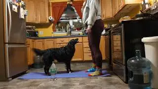 Ashley Reitmaier-Lesson 7.1, waiting for a cue 