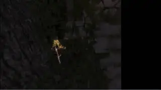 PoP:T2T - Another skip in Upper Tower