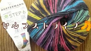 【６ply🧦】これぞセルフストライプ！という糸で靴下を編んでみた♡