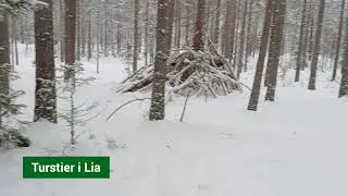 Opptur Tursti i Lia februar 2026