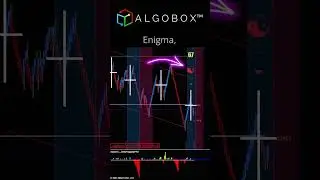 What is a Moonshot Trade? 🔴 NinjaTrader | AlgoBox Training