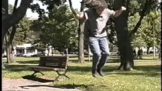 David Acer vs a Colony of Ants