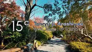 Witnessing the beauty of Japan | Tenryu-ji Temple, Kyoto | Japan &bull; 4K HDR