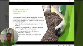TECNICAS A TENER EN CUENTA ALA HORA DE CULTIVAR CLAVELES