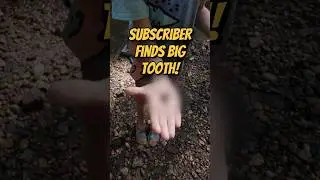 Kid Finds Ancient Shark Tooth in New Jersey Creek!