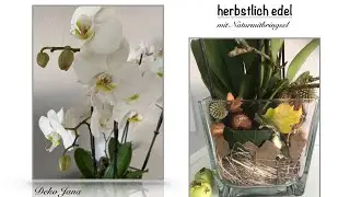 DIY: Wohnidee, &bdquo;edle Pflanzen geh&ouml;ren edel in Szene gesetzt&ldquo;, Herbst Deko Idee / Deko Jana