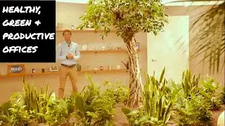 BIOFILICO - biophilic office interiors - HERO, Switzerland