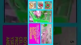 Paper plate making machine model in 2021,How start small scale business & machinery at home in 2021