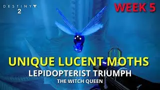 All Unique Lucent Moths *WEEK 5* Lepidopterist Triumph | Destiny 2 (PS5)