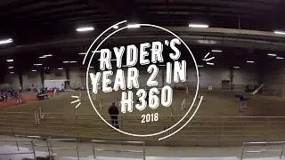 Dog Agility with Handling360 is Effective!