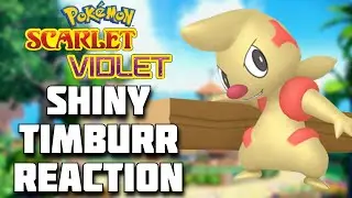 SHINY TIMBURR FULL REACTION! Pok&eacute;mon Scarlet and Violet Shiny Highlight! #shinypokemon