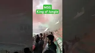 MARINERS KING OF JUNGLE💪#mariners #mohanbagan #fans