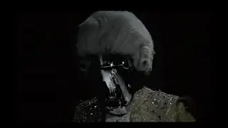 Momus: Screamland