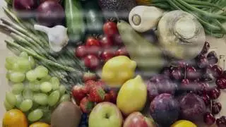 Esteroles Vegetales