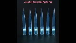 Siny Disposable 10UL 200UL 1000UL Laboratory Supplies Sterile Pipette Tips with ISO1