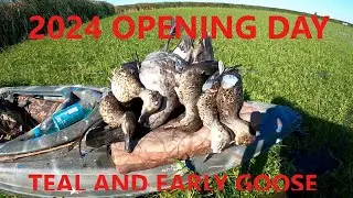 2024 TEAL AND EARLY GOOSE! OPENING DAY IN WISCONSIN (public land)