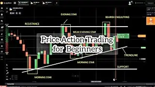 This Price Action 