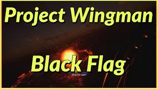 Project Wingman: Campaign Mission 1: Black Flag | HARD