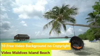 10 Free Video Background no Copyright - Video Maldives Island Beach