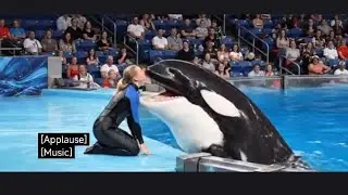 Jessica and dolfin so eaten by jassica so 