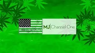Marijuana Channel One Presents: 502 and Tribal Land