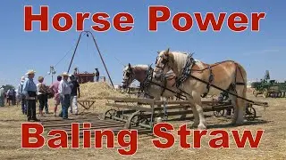 Horse Powered Baler