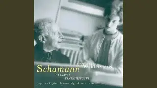 Fantasiest&uuml;cke, Op. 12: 6. Fabel