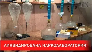 В Гомеле ликвидирована нарколаборатория | Зона Х