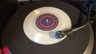 Sandy Coast - Capital punishment      Disc on white 7
