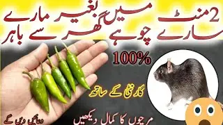 19 + Best Kitchen Tips&Hacks To Save Ur Money & Time With 1 Thing | How To Kitchen Clean🤑&Organized
