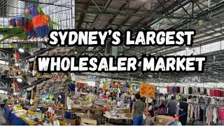 Sydney&rsquo;s largest wholesaler Market | Paddy's Markets Flemington Sydney Australia 🇦🇺 