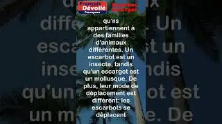 Escarbot et Escargot (Paronymes) #shorts