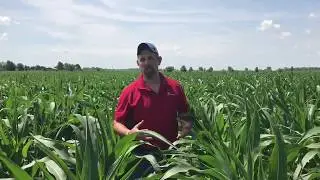 Variable Rate Project Update in Elmira Ontario