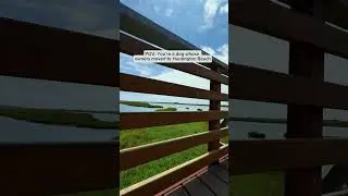 POV: Your dog&rsquo;s dream walk &hellip;right in your future backyard #huntingtonbeach #bolsachica #dogs #home