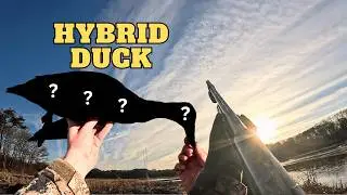 Season's End | Decoying and Jumpshooting Late Season Ducks (Bonus Crow) 2026