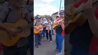 FOLIA DE REIS PAGANINI DE ALTINOPOLIS SP
