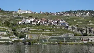 Vineyards of Lavaux near Rivaz and Saint-Saphorin, Switzerland