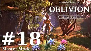 The Elder Scrolls IV: Oblivion Remastered Master Mode Episode 18: The Oblivion Gate In Bruma!