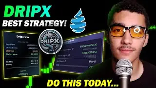 Как я заработал 1000 долларов за 8 дней с DripX... Лучшая стратегия!