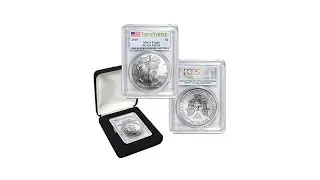 2010 MS70 PCGS First Strike Silver Eagle Dollar Coin