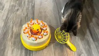 B Duck Bouncing Carousel | Ms S
