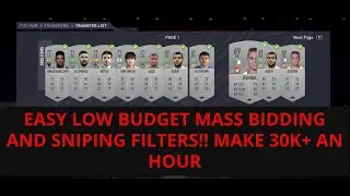 FIFA 21 TRADING TIPS - EASY LOW BUDGET MASS BIDDING AND SNIPING FILTER! MAKE 30K+ AN HOUR!!