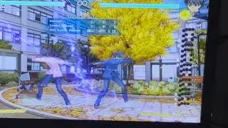 Beta TESTER -- Melty Blood *-* Training Bot Test : Going South.