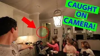 REAL FAIRIES CAUGHT ON CAMERA!!!