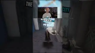 ПТИЦЫ НЕ НАСТОЯЩИЕ #восхождениесудьбы