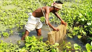 New Fishing Trap In Bamboo Box Cage | Traditional Village Fishing System by Fishing Paradise