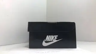 Nike Air Max 1 Tokyo Maze Review