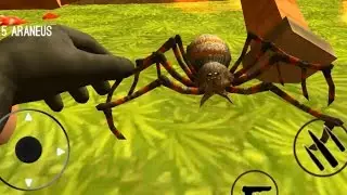 Spider Hunter Amazing City 3D | Top funny games